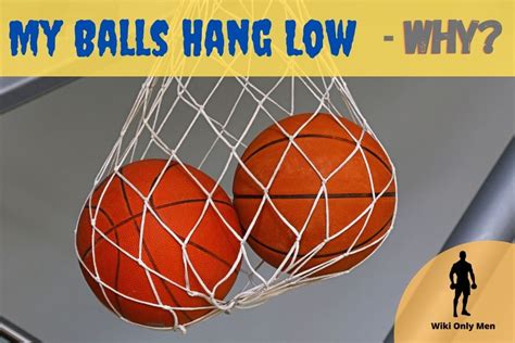 huge low hanging balls|Tips for Making Your Balls Low Hanging .